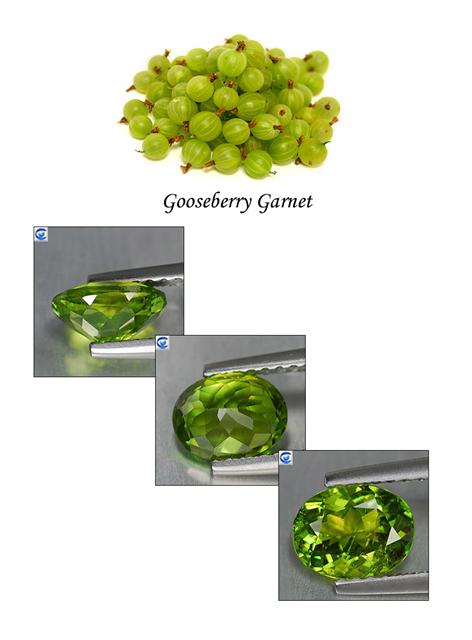 Gooseberry